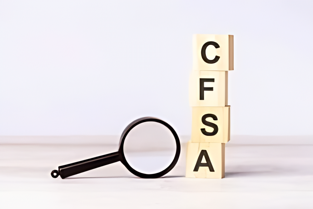 Unveiling the Role of Certified Financial Services Auditors - Flexi ...
