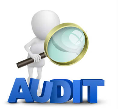 Statutory Audit Services: Compliance and Beyond